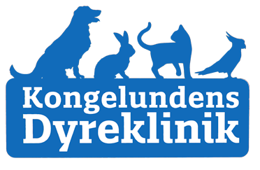 logo-2019